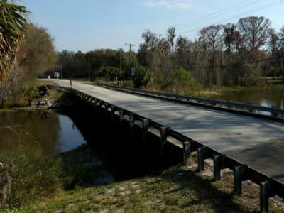 Lake Panasoffkee Community