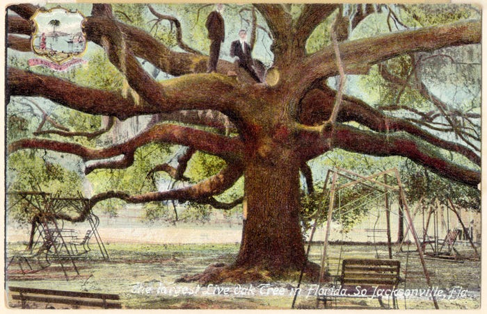 Jacksonville DevOps & AI Automation Meetup